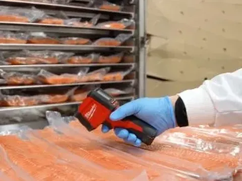 SINTEF thiết lập chuỗi cung ứng hải sản toàn cầu tươi ngon với chi phí thấp