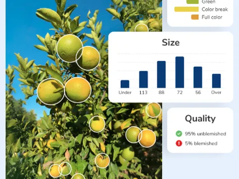 Công nghệ AI trên điện thoại giúp nông dân phân loại táo và nho