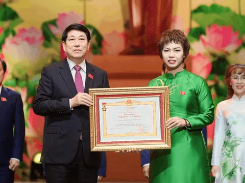 Thái Xuyên 111 – Giống lúa lai vững vàng cho vụ Đông Xuân 2025-2026