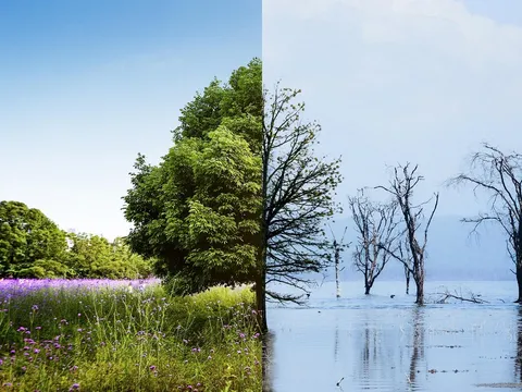 Nghịch lý sinh thái: Biến đổi khí hậu gia tăng, tốc độ luân phiên loài lại suy giảm