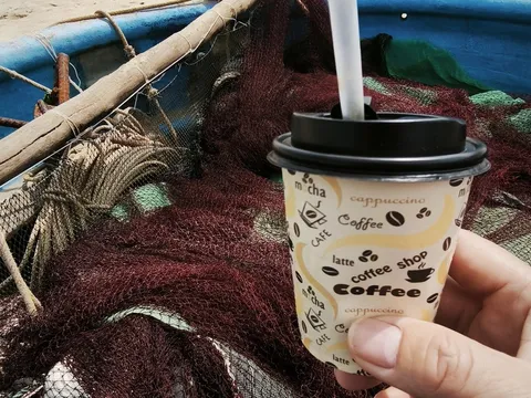 Phía sau chiếc cốc giấy: Nghịch lý của sự tiện lợi và áp lực lên những cánh rừng