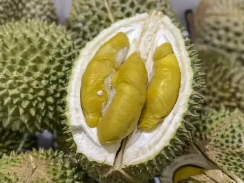Sầu riêng Musang King giả tràn lan tại Trung Quốc: Malaysia quyết liệt bảo vệ thương hiệu quốc gia