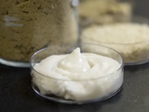 Từ phụ phẩm gạo đến phô mai thực vật giàu protein