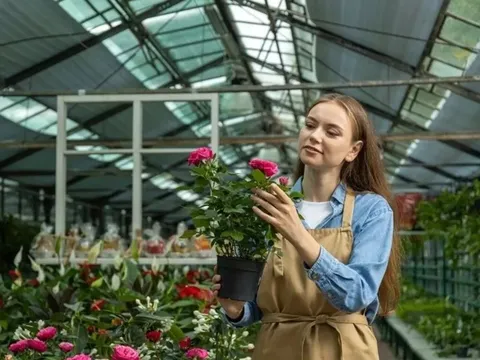 Thị trường hoa Nga: Nỗ lực tự chủ sản xuất và làn sóng chuyển dịch số