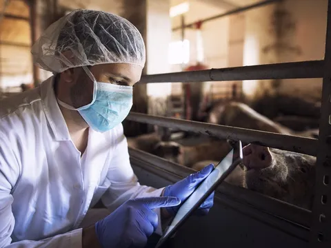 Liên minh Châu Âu cập nhật danh mục động vật và sản phẩm động vật chịu kiểm soát tại trạm kiểm soát biên giới