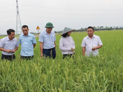 Kỳ cuối: Hoàn thiện hệ sinh thái, tạo ra sức mạnh thương hiệu