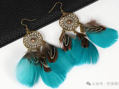 Mô hình tái chế lông gà mang lại lợi nhuận tỷ đồng với chi phí đầu tư thấp