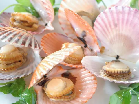 Xuất khẩu sò điệp Việt Nam bứt phá, cơ hội lớn trong tái cấu trúc thị trường toàn cầu