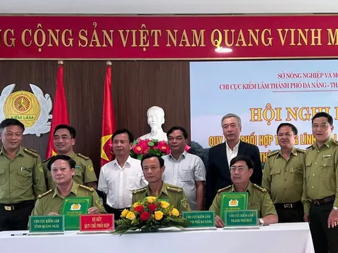 Ký kết phối hợp bảo vệ rừng vùng giáp ranh của ba địa phương Đà Nẵng, Quảng Ngãi và Huế