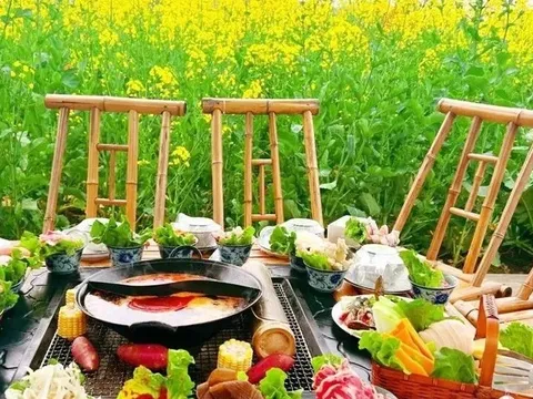 'Xen canh' giữa biển hoa: Đặt nồi lẩu giữa cánh đồng hái tiền tỷ mỗi tháng