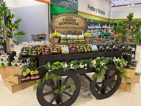 Công nghệ bao bì sợi xenlulô: Lời giải cho bài toán rác thải nhựa nông sản