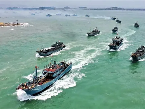 Đề xuất khung trách nhiệm doanh nghiệp nhằm chống IUU và vi phạm lao động