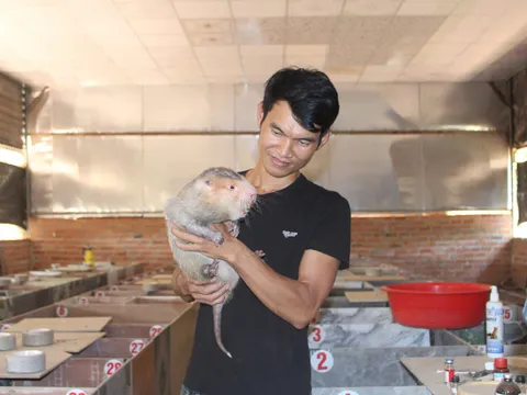 Tín dụng chính sách là “bệ đỡ” góp phần thúc đẩy phát triển kinh tế hiệu quả