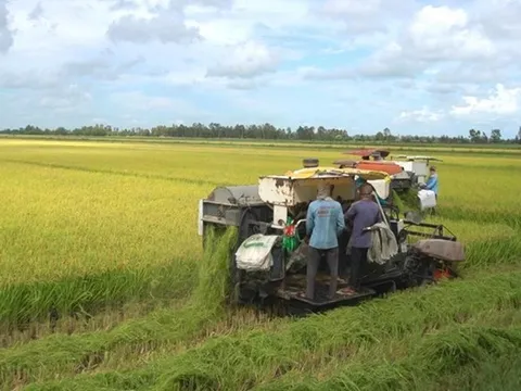 Xuất khẩu nông, lâm, thủy sản quý I đạt gần 16,7 tỷ USD