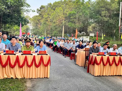 TP Huế: Phát động phong trào 'Toàn dân chung tay bảo vệ màu xanh rừng thông An Cựu'