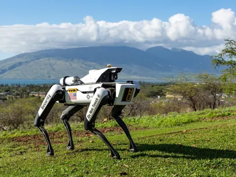 'Vệ sĩ' cơ khí trên những cánh đồng ngô giống