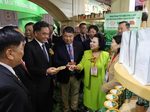 HCMC FOODEX 2026: Kiến tạo một không gian giao thương quốc tế sôi động