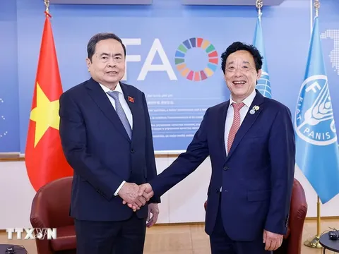 Thúc đẩy hợp tác nông nghiệp, an ninh lương thực giữa Việt Nam và FAO