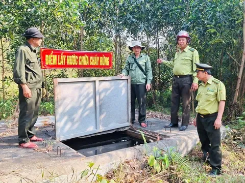 Phường Phú Bài (TP Huế)  tăng cường công tác phòng, chống cháy rừng trong thời điểm nắng nóng kéo dài