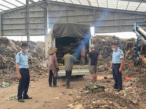 Quảng Ninh: Ngăn chặn thực phẩm bẩn và hơn 13.500 con giống gia cầm nhập lậu