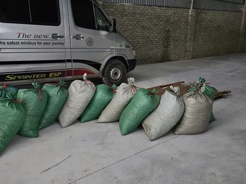 Xử phạt tổng cộng 16 năm tù hai đối tượng buôn bán trái phép 900 kg vảy tê tê