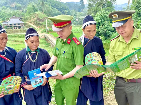 Giữ vững 'lá phổi xanh' – Tuyên Quang chủ động, quyết liệt trong bảo vệ rừng và phòng cháy, chữa cháy rừng