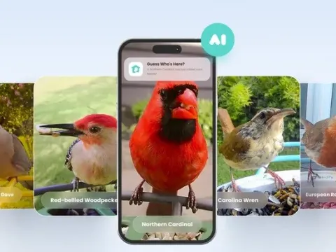 Sự kết hợp giữa công nghệ giám sát thông minh và thú chơi quan sát chim hoang dã tạo nên thị trường tỷ đô