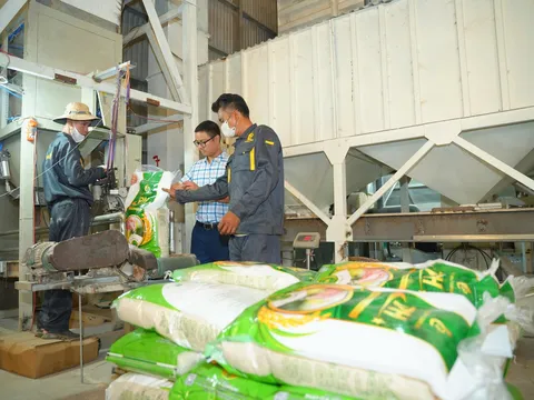 Nhà máy Phan Gia: Khi công nghệ sấy hiện đại giúp xác lập vị thế mới cho hạt gạo Tây Nguyên