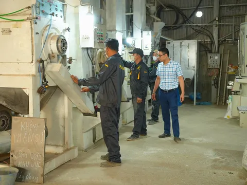Phan Gia và 'lối mở' cho chuỗi giá trị lúa gạo Tây Nguyên sau thu hoạch