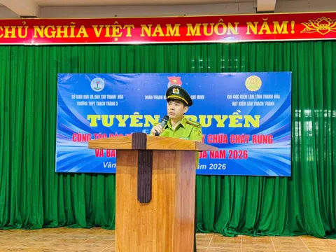 Phát huy sức trẻ đoàn viên, thanh niên trong công tác bảo vệ rừng