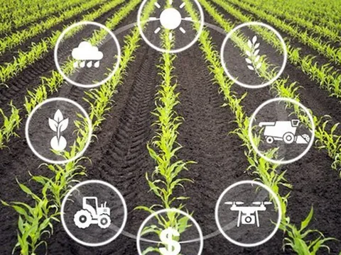 Ứng dụng IoT trong lĩnh vực nông nghiệp thông minh