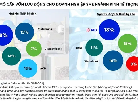 MB – Ngân hàng top đầu Quy mô dư nợ cho vay ngắn hạn đối với doanh nghiệp SME thuộc ngành kinh tế trọng điểm