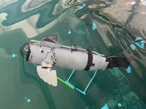 Cá robot mô phỏng sinh học: Giải pháp giám sát lồng nuôi không gây ứng kích