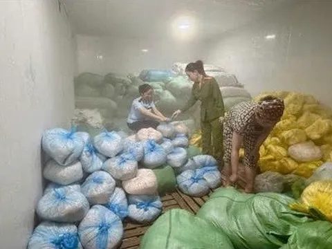 Thanh Hóa tạm giữ hơn 14 tấn bì lợn không rõ nguồn gốc