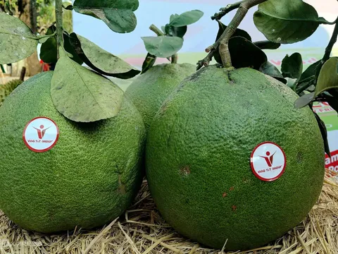Bộ Nông nghiệp và Môi trường tích cực triển khai các hoạt động hợp tác quốc tế