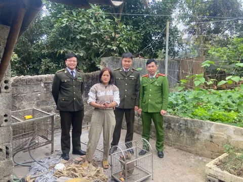 Tái thả cá thể khỉ do người dân tự nguyện bàn giao về Vườn Quốc gia Xuân Liên