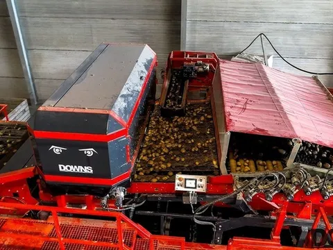 Giải pháp tự động hóa và thị giác máy tính trong quy trình phân loại khoai tây
