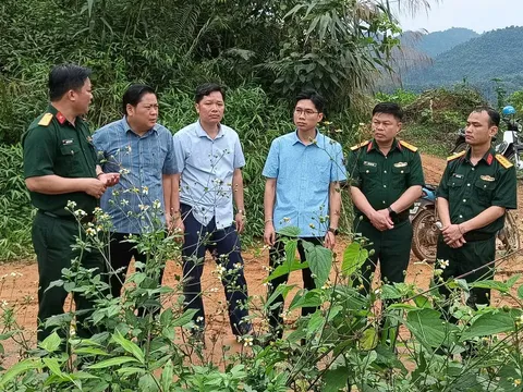 Theo lời Bác dạy, Phúc Lợi xây dựng mô hình kinh tế rừng hiệu quả