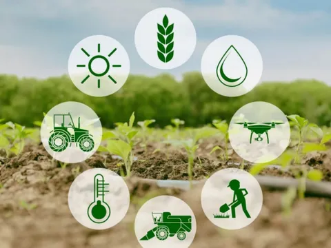 Cắt giảm, đơn giản hóa điều kiện kinh doanh của 11 lĩnh vực nông nghiệp và môi trường