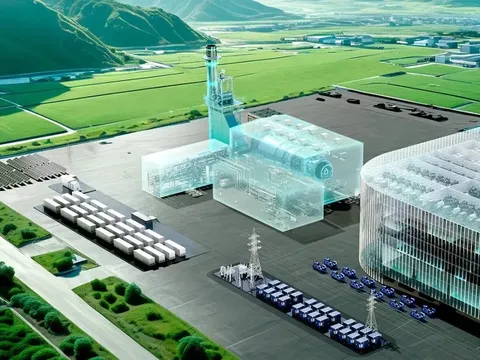 Năng lượng AI, tương lai hải sản: Lời giải từ Nhật Bản