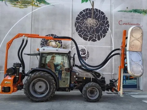 Tỉa lá: Chìa khóa nâng cao chất lượng nông sản