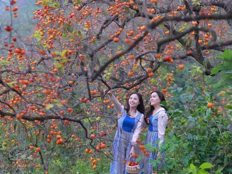 Tìm giải pháp phát triển du lịch nông thôn và chuỗi giá trị du lịch nông thôn Nghệ An