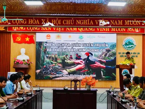 Nâng cao nhận thức trong cộng đồng về bảo vệ môi trường sống của những đàn chim hoang dã