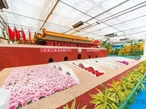 Làng Đại (Sơn Đông): Từ ngôi làng nợ nần thành hình mẫu nông thôn mới của Trung Quốc