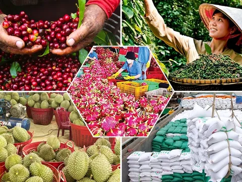 Tiêu chí đánh giá, phân hạng sản phẩm OCOP