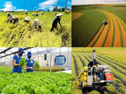 Phát triển hệ thống tiêu chuẩn kỹ thuật cho trồng trọt giảm phát thải: Điều kiện thúc đẩy nông nghiệp sinh thái