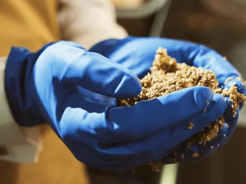 Canada: Tái sinh bã bia thành protein và nguyên liệu thực phẩm giá trị cao
