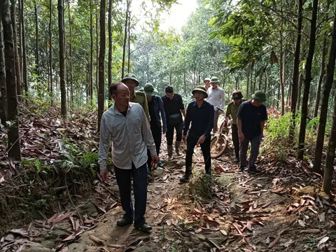 Nắng nóng kéo dài, xã Phúc Lợi (Lào Cai) chủ động các phương án phòng cháy rừng