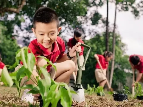 Những hành động nhỏ tạo nên sự thay đổi lớn