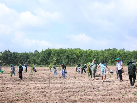 Chung tay phục hồi rừng tại vùng đệm hồ Dầu Tiếng